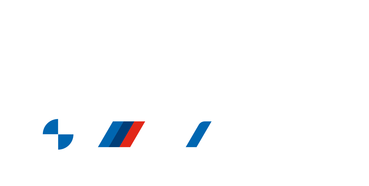 binelligroup-logo